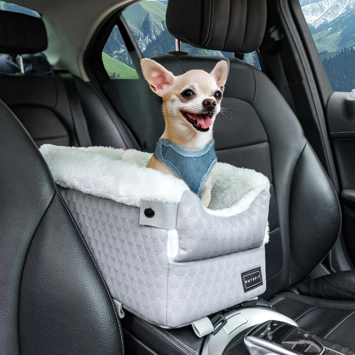 Petsfit Asiento de Perro de Consola de Centro de Coche para Perros Pequeños Gatos, Silla de Coche para Perro con Cinturones de Seguridad Mejorados, Lavable para Perros Pequeños de hasta 5KG