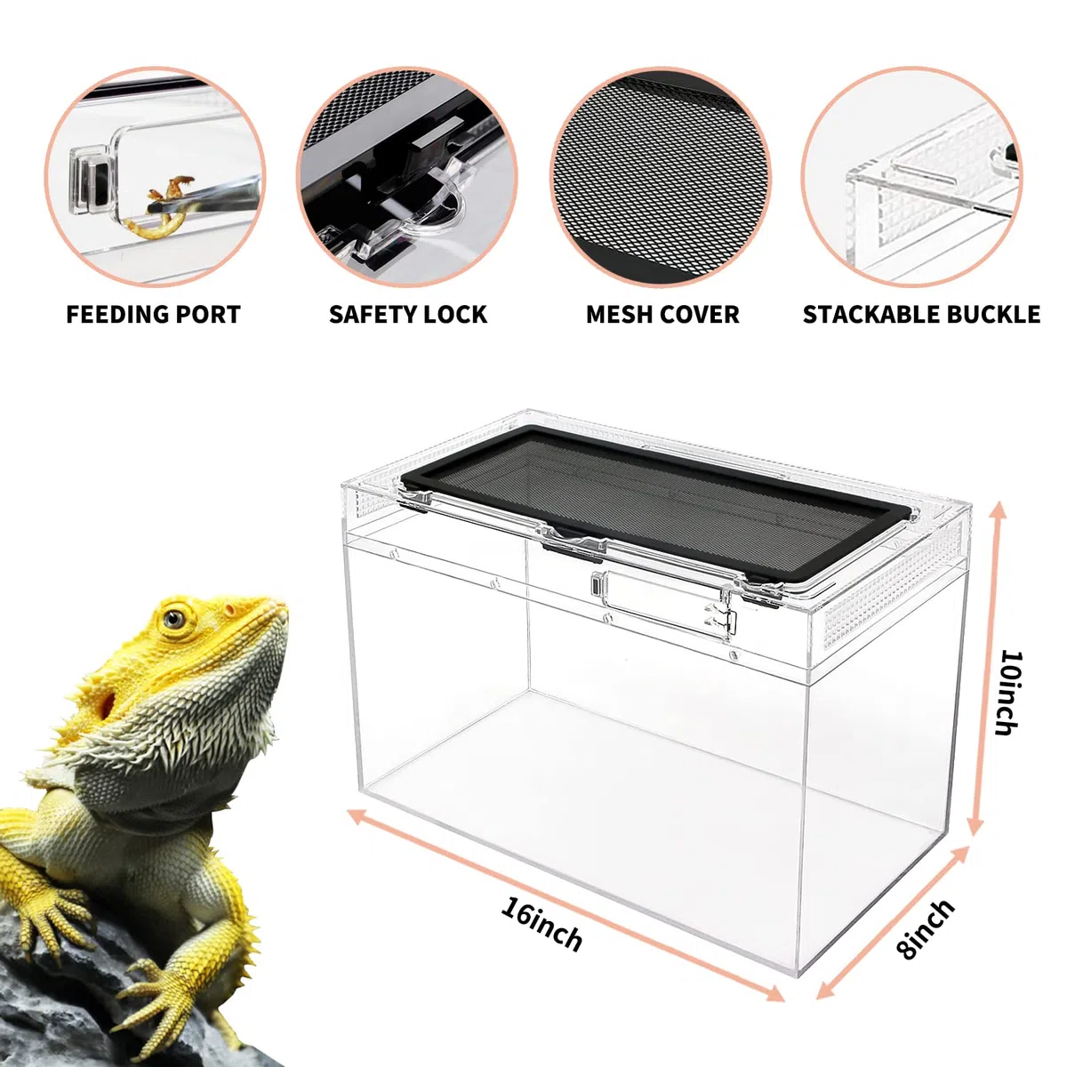 Terrario Reptil Growth PC, 16" x 8" x 10", Ideal para Leopardo Gecko, Dragón Barbudo, Lagarto, Caracol, Palo, Insecto, Tarántula, Gecko, Serpiente