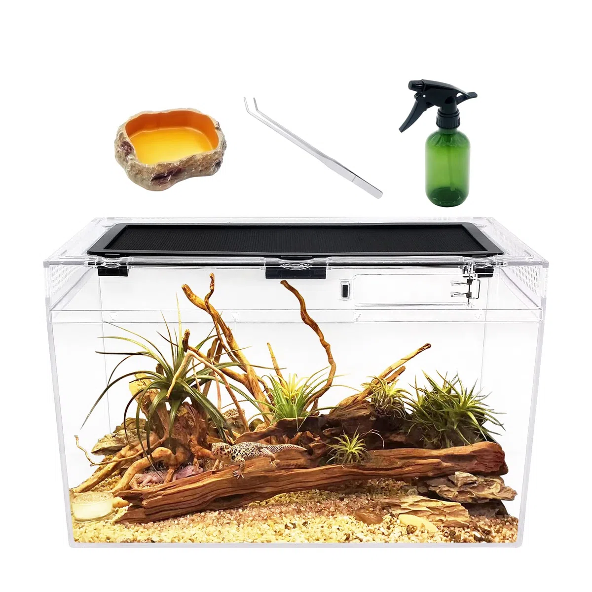 Terrario Reptil Growth PC, 16" x 8" x 10", Ideal para Leopardo Gecko, Dragón Barbudo, Lagarto, Caracol, Palo, Insecto, Tarántula, Gecko, Serpiente