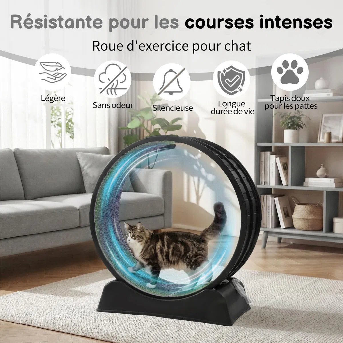 LEADZM Rueda de ejercicio para gato 80 cm - Rueda para gatos de hasta 15 kg - Conector de riel de plástico, resistente a los arañazos, estable y silencioso (Negro)