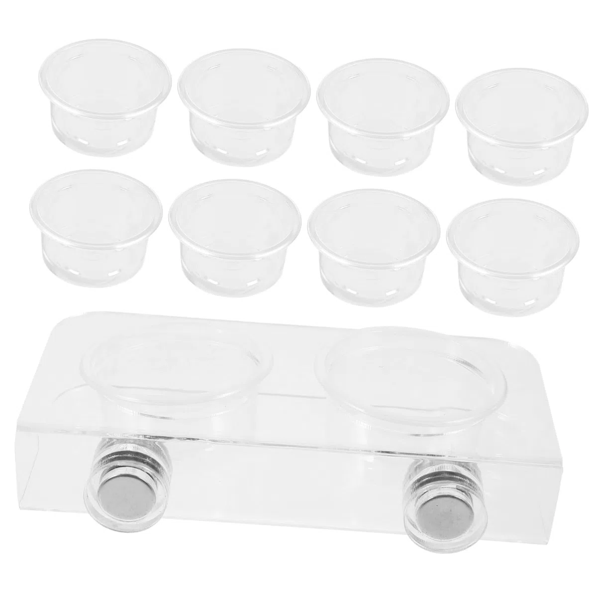 Yardwe 5 Juegos Comedero para Reptiles Cuenca De Agua De Reptil Tazas De Comida Gecko Repisa De Alimentación De Reptiles Repisa del Comedero para Gecos Alimentador De Gecos Acrílico