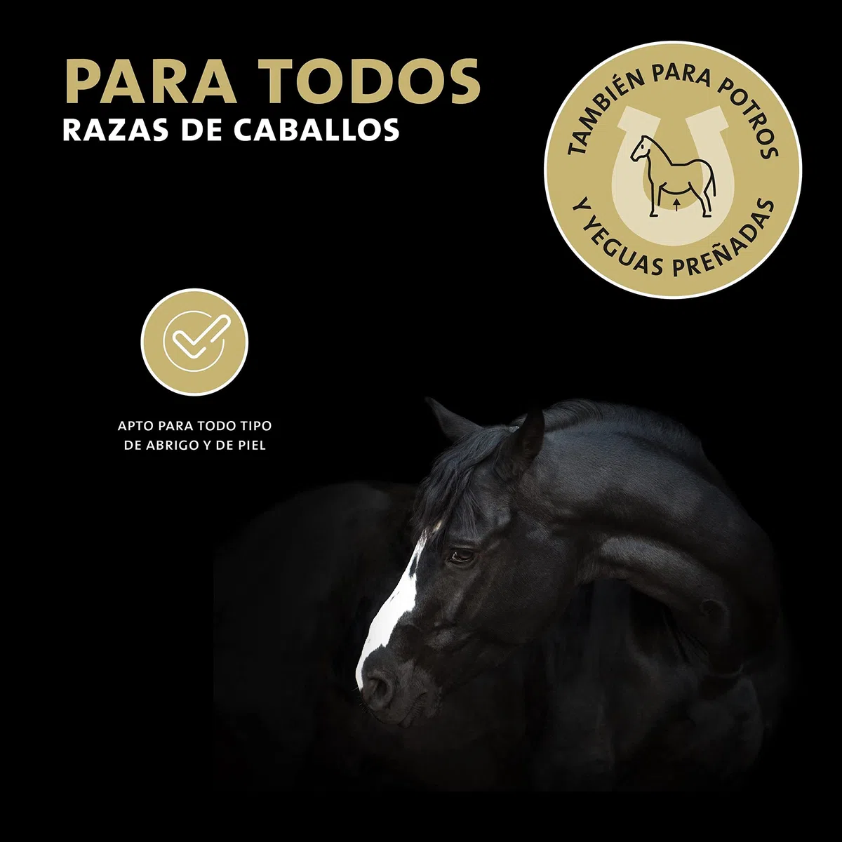 Peticare champú para Caballos Especial para picores ácaros Hongos pulgas - Cuidado del Olor desagradable del Pelaje, cuida la Piel del Caballo, fórmula de Cuidado eficaz - petHorse Health 2021