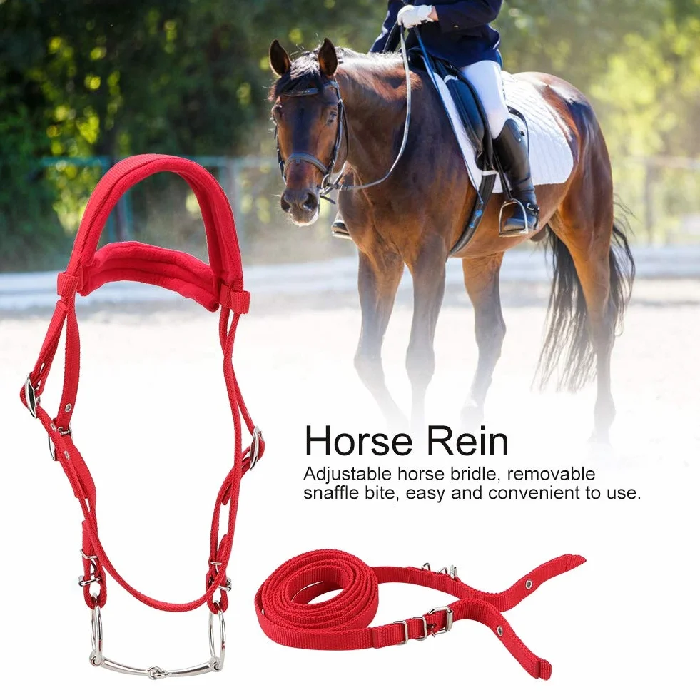 Arnés de caballo ajustable, correas engrosadas con cojín suave, cabestro de control 5 mm para caballos, entrenamiento equino, doma y paseo