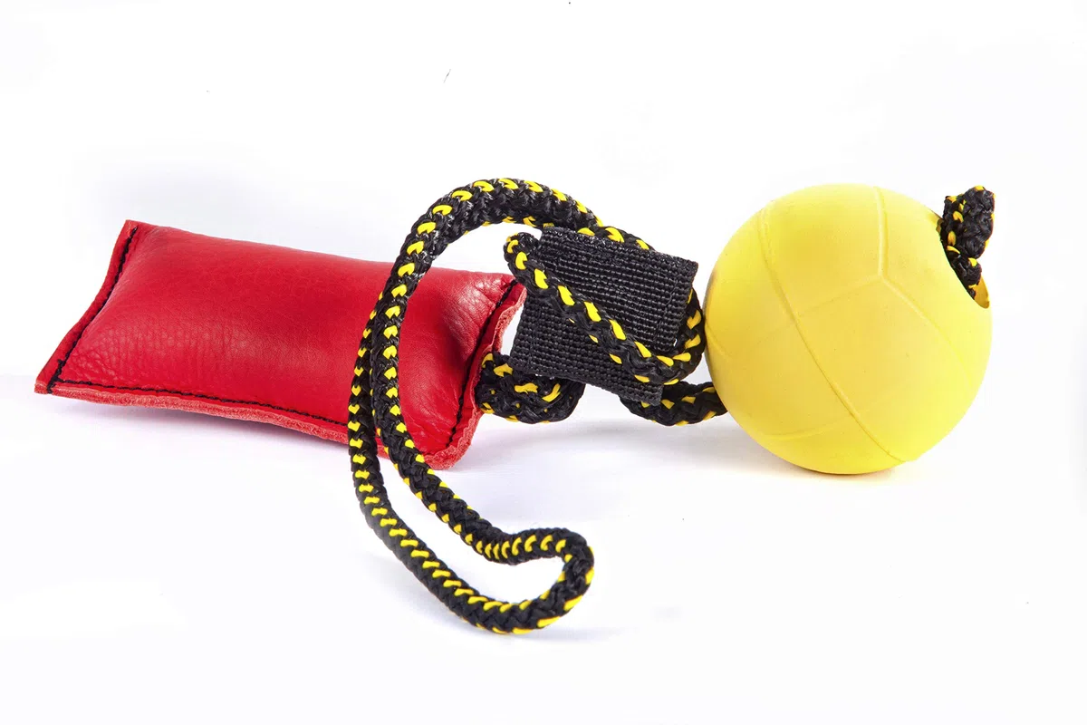 DINGO GEAR WWW.DINGOGEAR.COM 1977 Juego magnético para el Entrenamiento del Perro: imán Cubierto y Bola de Goma con Mango magnético
