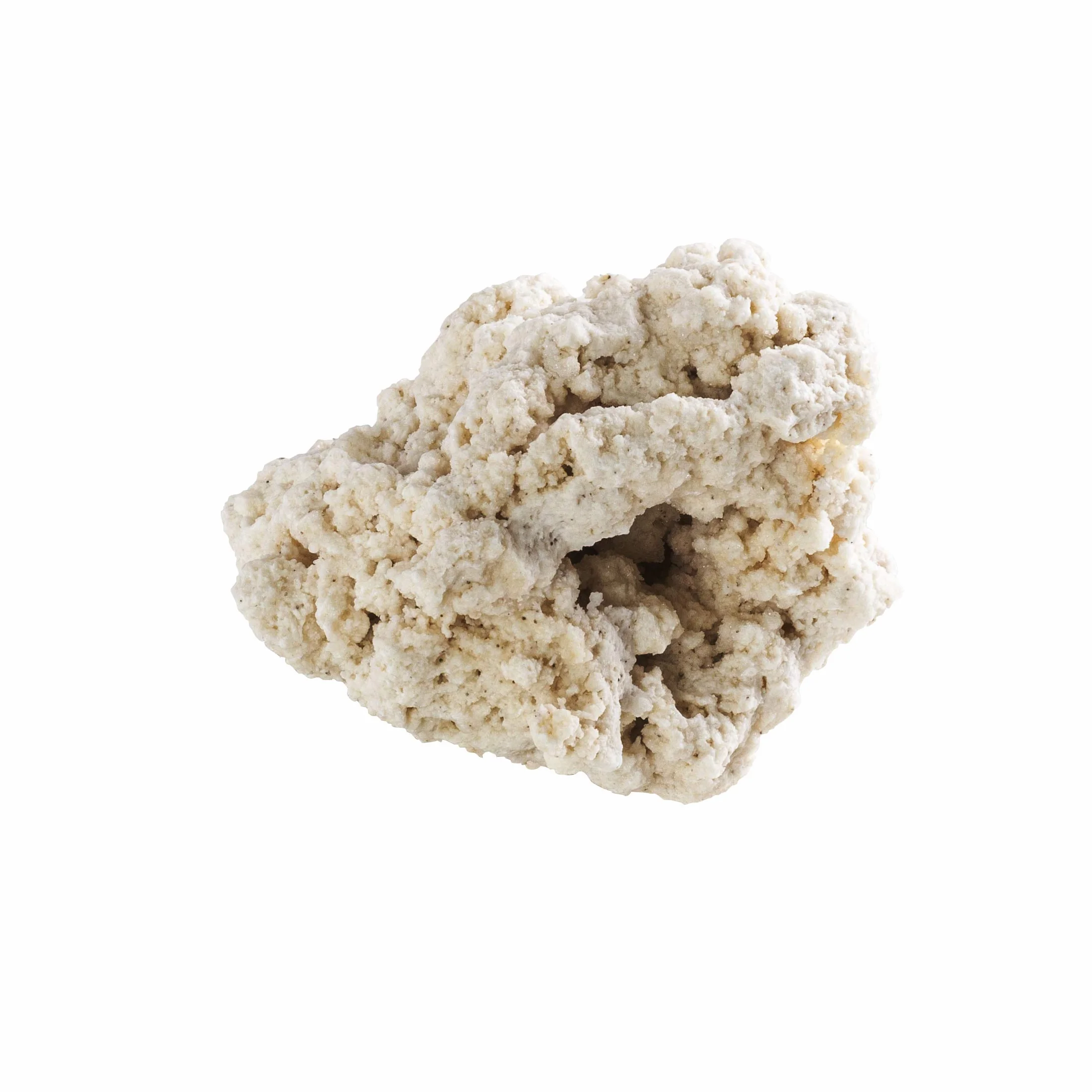 ARKA myREEF-Rocks 20kg / 9-12cm - Roca de Arrecife Natural para montajes auténticos en acuarios Marinos, Libre de sustancias nocivas, Zona de asentamiento Ideal para bacterias.