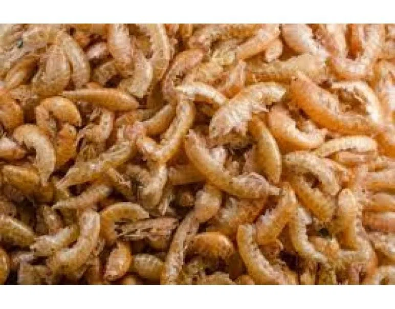 GAMMARUS - GAMBAS ALIMENTO Natural para Tortugas Bolsa 3000gr