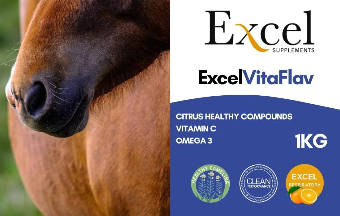 Excel Supplements VITAFLAV - Suplemento Alimenticio para Caballos | Mejora la Capacidad de respiración del Caballo | Aumenta el Rendimiento | Cuidado del Caballo | 1KG