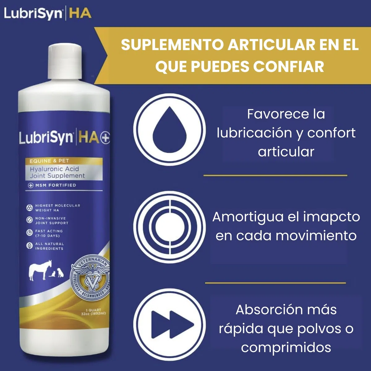 MSM 473ml – Suplemento Articular Líquido para Perros – Ácido Hialurónico Alta Absorción – Movilidad, Flexibilidad y Cuidado del Cartílago – También Apto para Gatos y Caballos | Ácido Hialurónico Alta Absorción, Movilidad y Flexibilidad, Cuidado del Cartíl