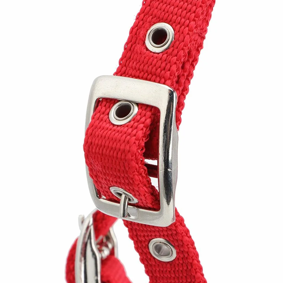 Arnés de caballo ajustable, correas engrosadas con cojín suave, cabestro de control 5 mm para caballos, entrenamiento equino, doma y paseo