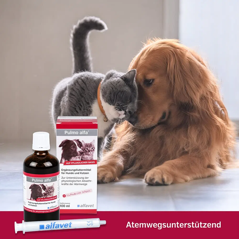 alfavet Pulmo alfa | Paquete doble | 2 x 100 ml | Complemento alimenticio para perros y gatos | Para apoyar las vías respiratorias en perros y gatos | Con aromas beneficiosos