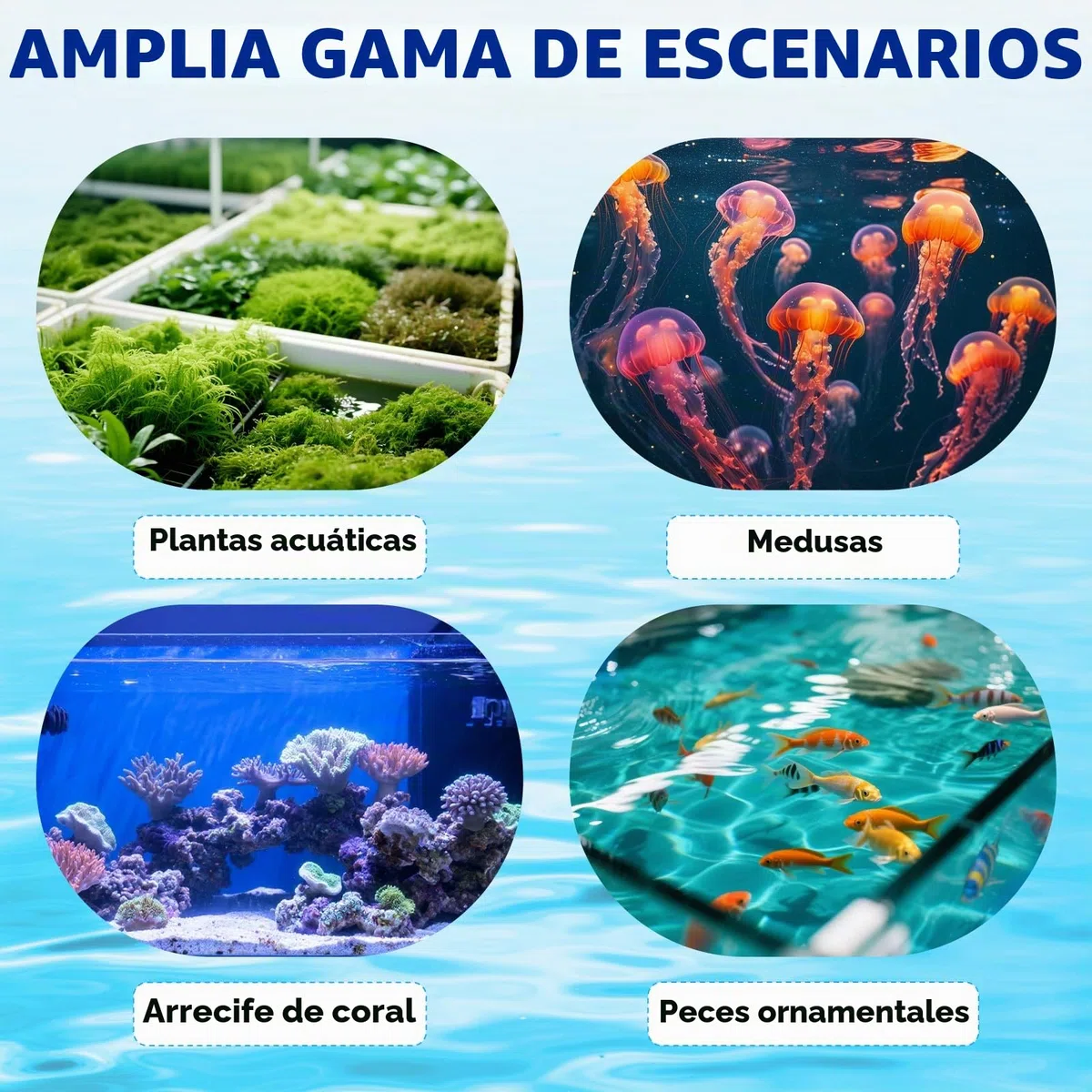 BAOSHISHAN 30L Mini enfriador de acuario 120W Pequeño enfriador de acuario para pecera