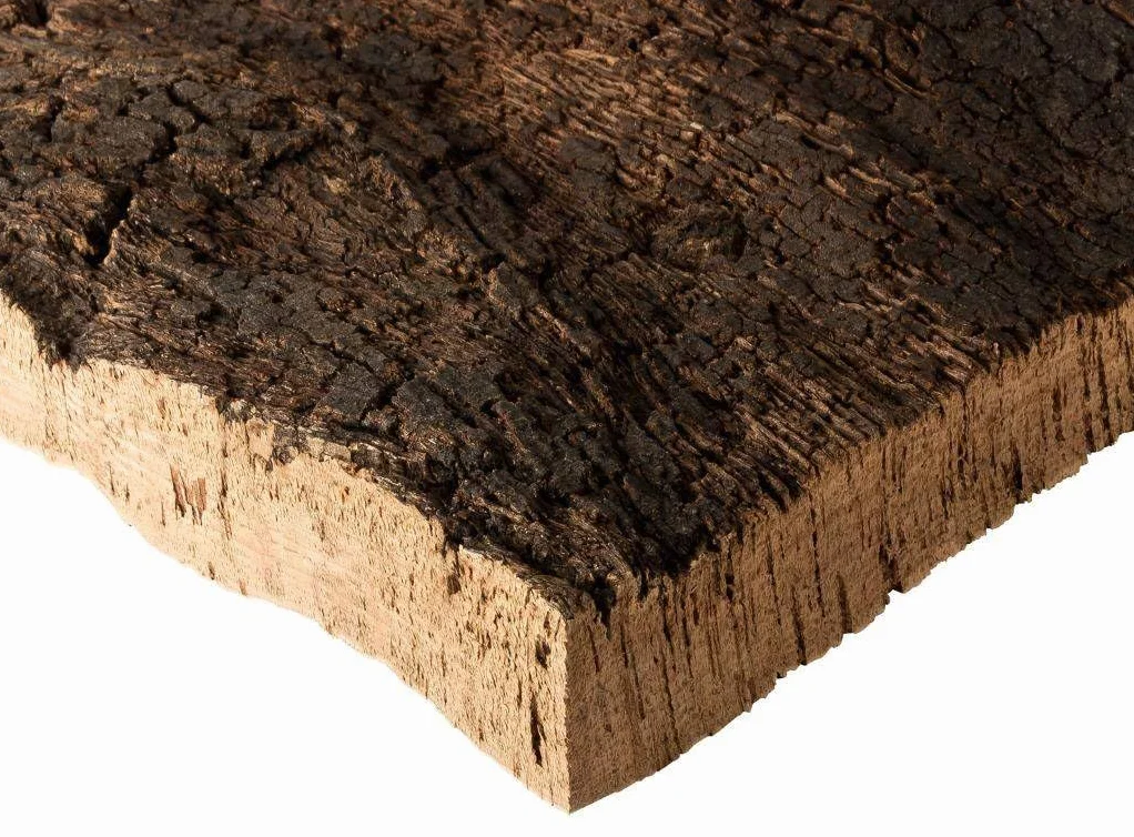 Corcho corteza | placa, trozos de corcho natural de la madera de corcho | 30x40x3 cm | sin tratar y natural | mercancía de la corteza de corcho |desinfectada térmicamente