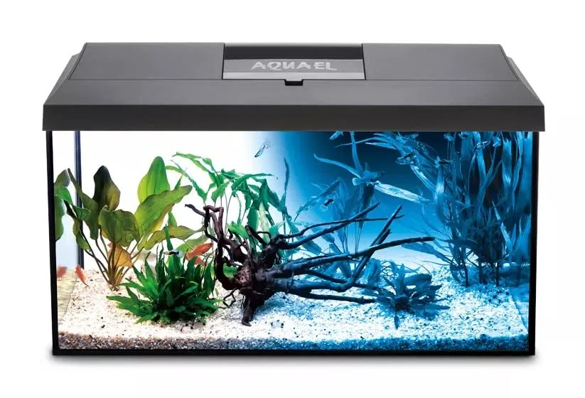 Aquael Leddy - Set de Acuario LED Completo (Incluye Cubierta, Filtro, Calentador, LED de día y Noche, 60 x 30 x 30 cm), Color Negro