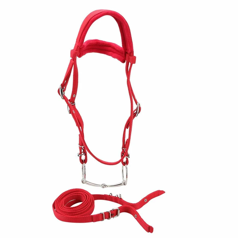 Arnés de caballo ajustable, correas engrosadas con cojín suave, cabestro de control 5 mm para caballos, entrenamiento equino, doma y paseo