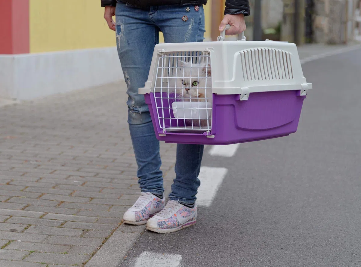Ferplast - Transportin para Perros y Gatos + Accesorios Atlas 20 Open