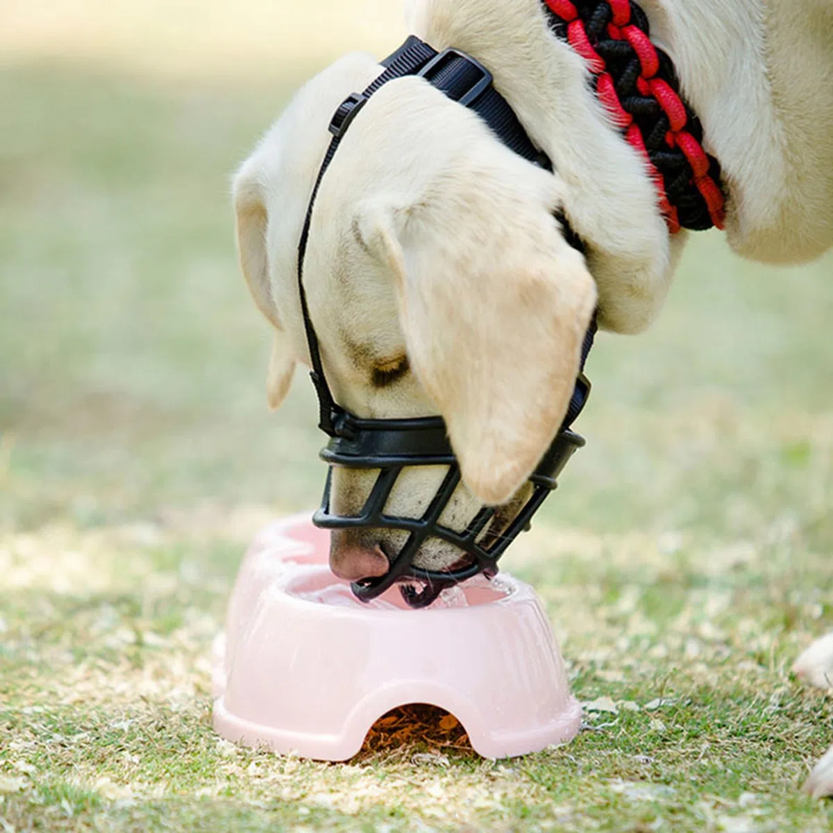 Bozal para Perros, Bozal antiladridos for Perros, Protector de bozal for, Transpirable, Ajustable, diseño humanizado, Permite jadear y Beber(Red,XXS)