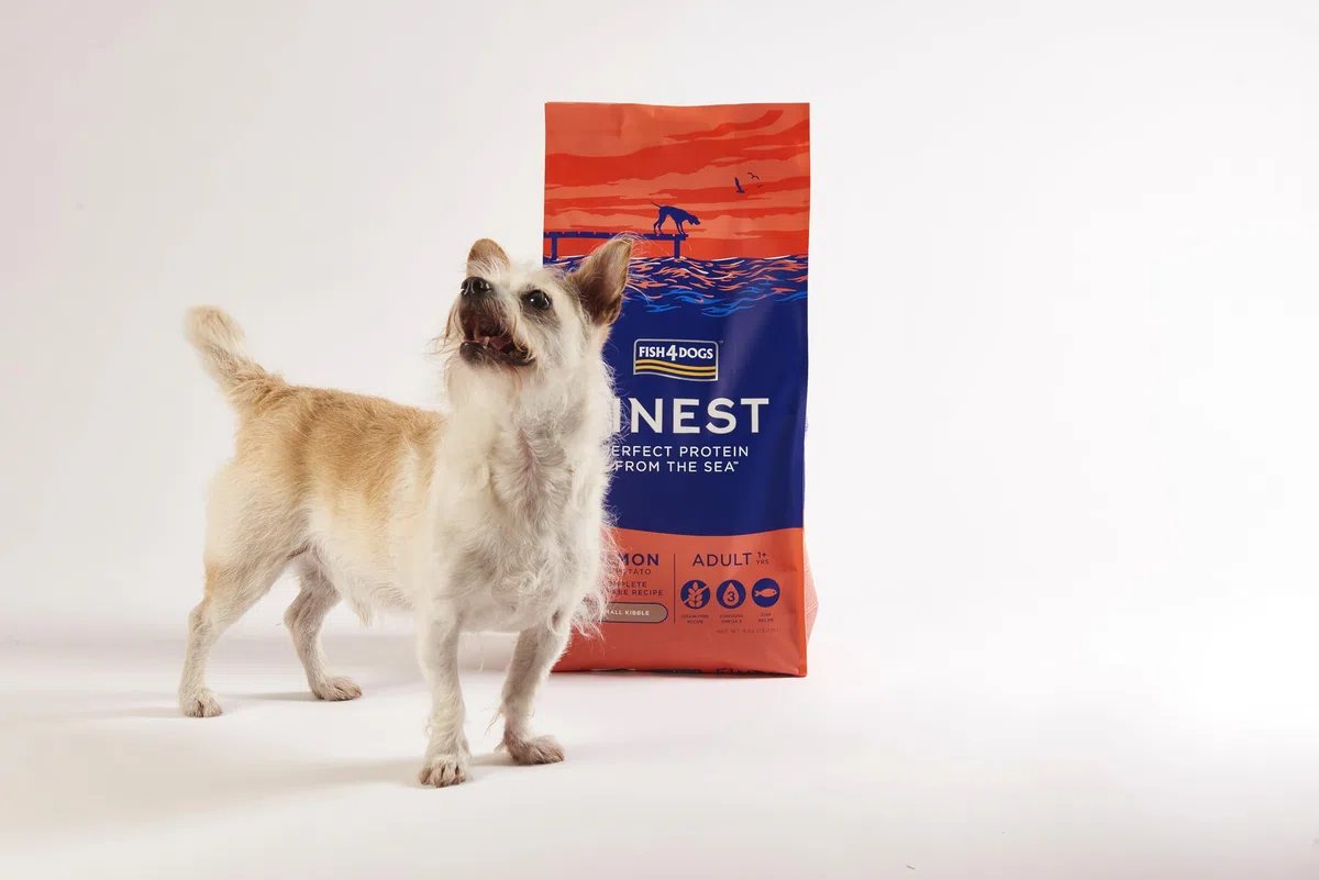 FISH4DOGS Canine Adult Small Salmon 6 KG