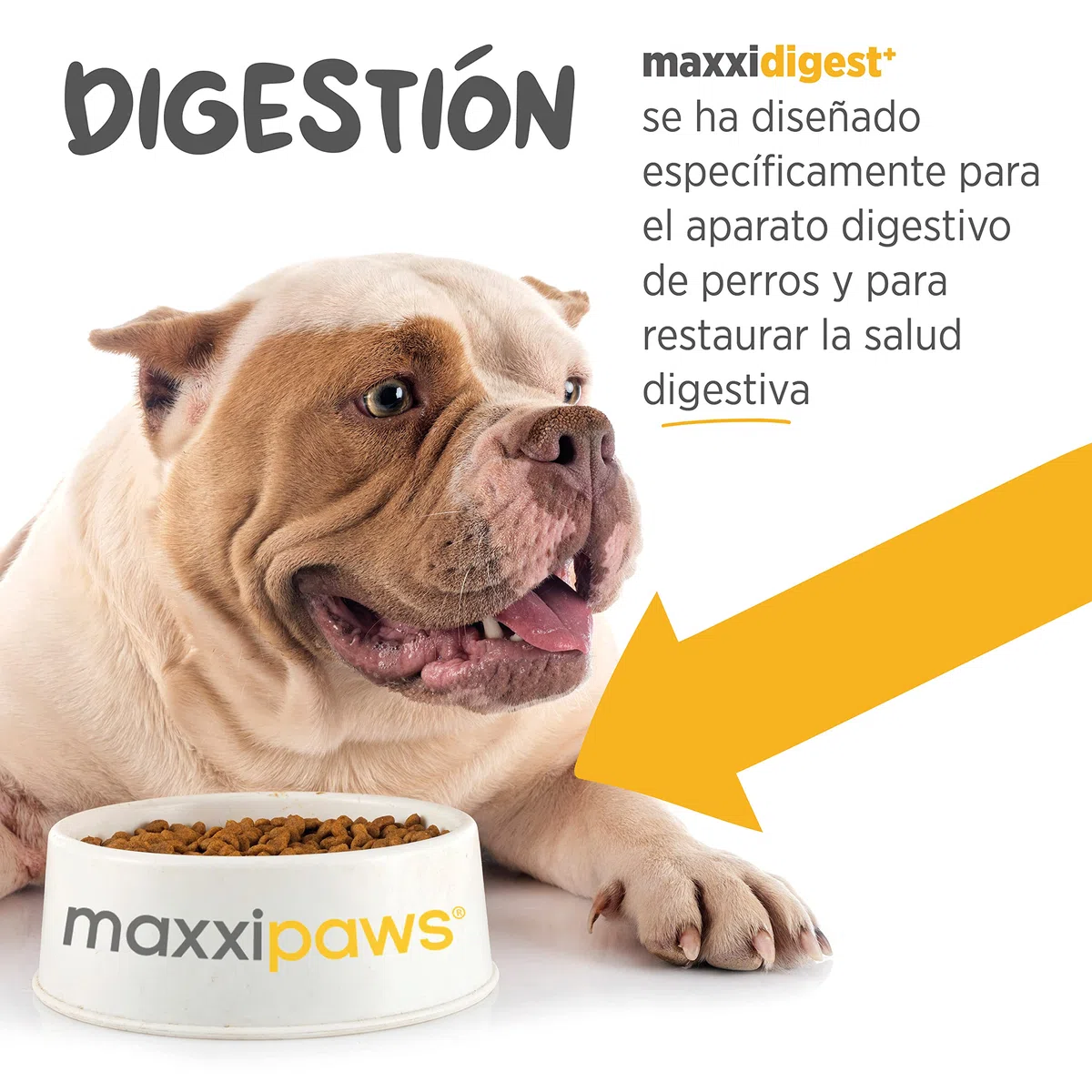 maxxipaws maxxidigest+ Prebióticos y Probióticos para Perros - Soporte Digestivo e Inmunológico - Suplemento en Polvo, 375g