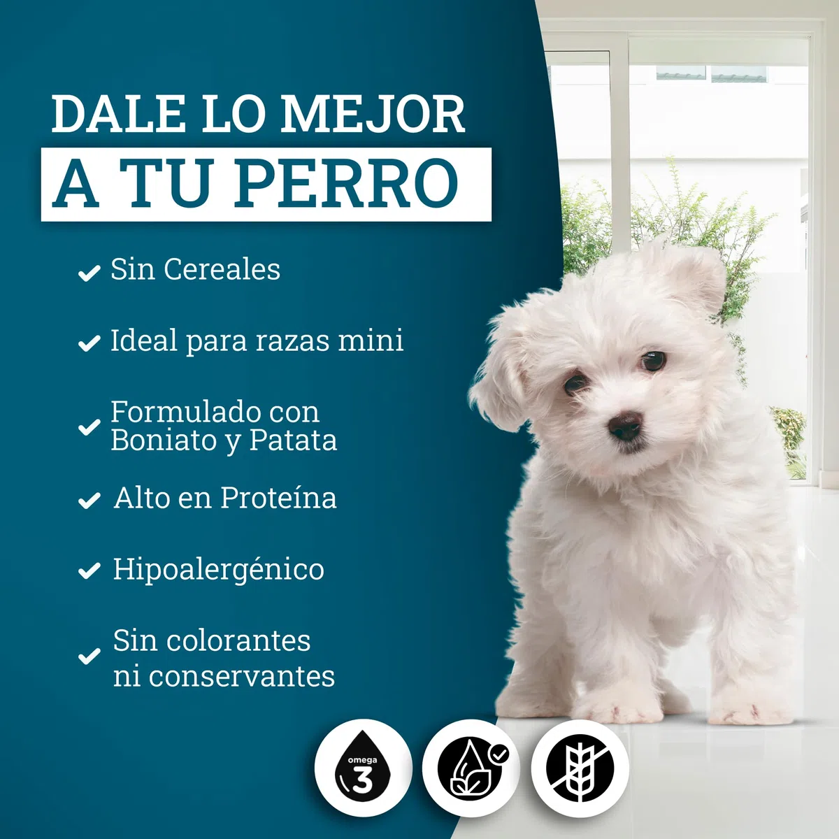 Yerbero Nature Grain Free Mini Pollo Boniato y Patata Sin Cereales,Pienso Perros Pequeños con Vitaminas Minerales y Omega3, Comida Perros Grain Free con Vitamina B y Hierro Pack 2 de 3 kg