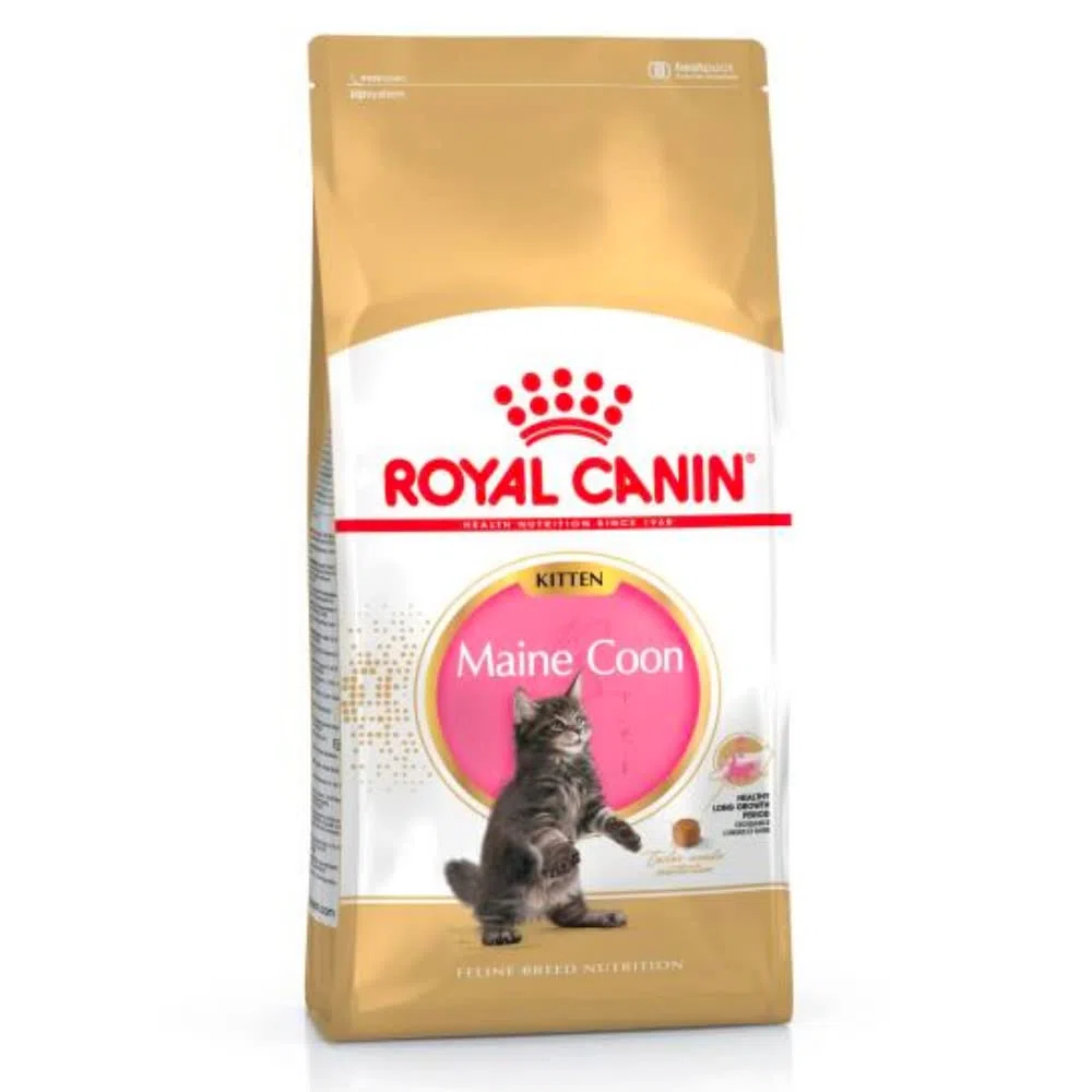 Royal Canin Comida para gatos Kitten Maine Coon 10 Kg