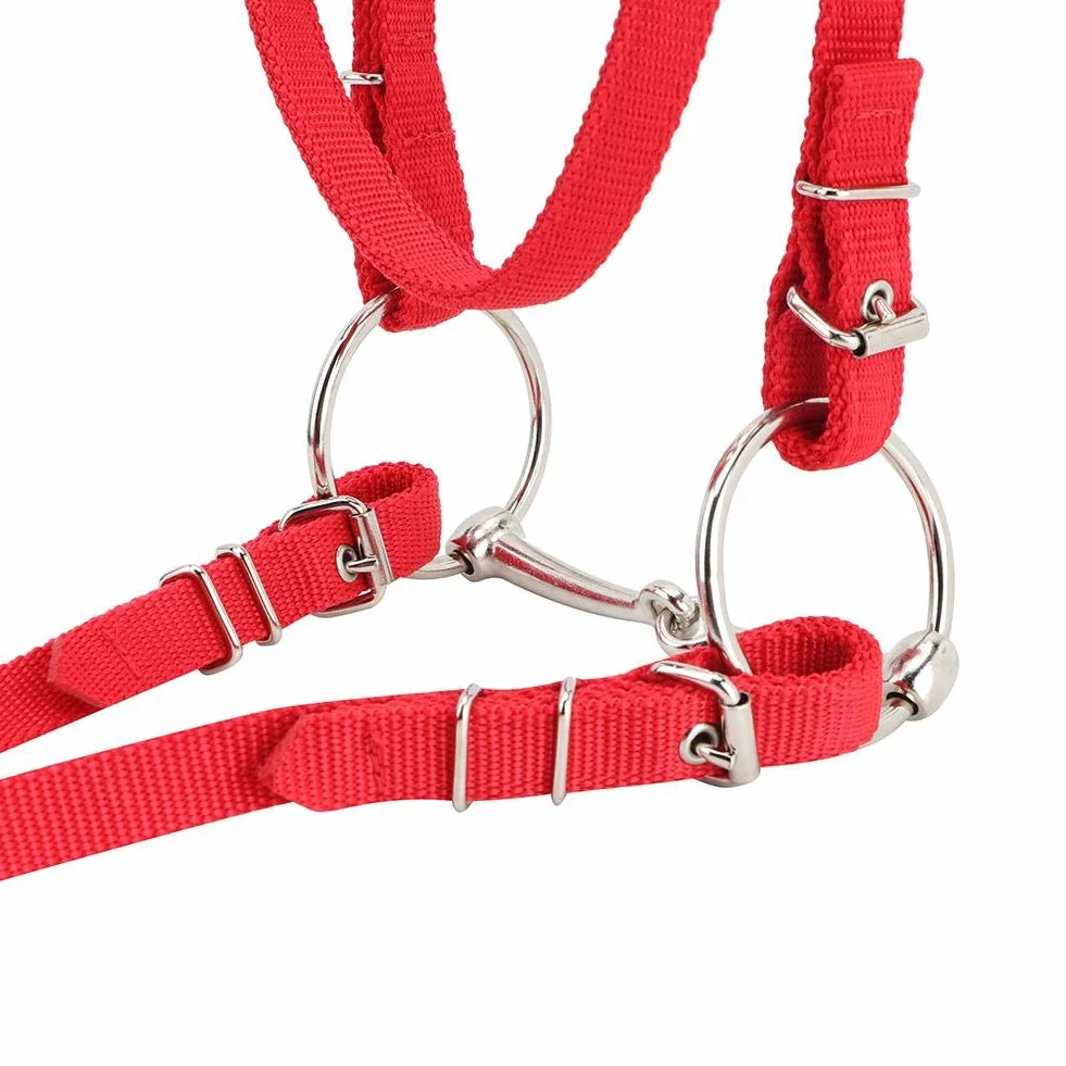 Arnés de caballo ajustable, correas engrosadas con cojín suave, cabestro de control 5 mm para caballos, entrenamiento equino, doma y paseo