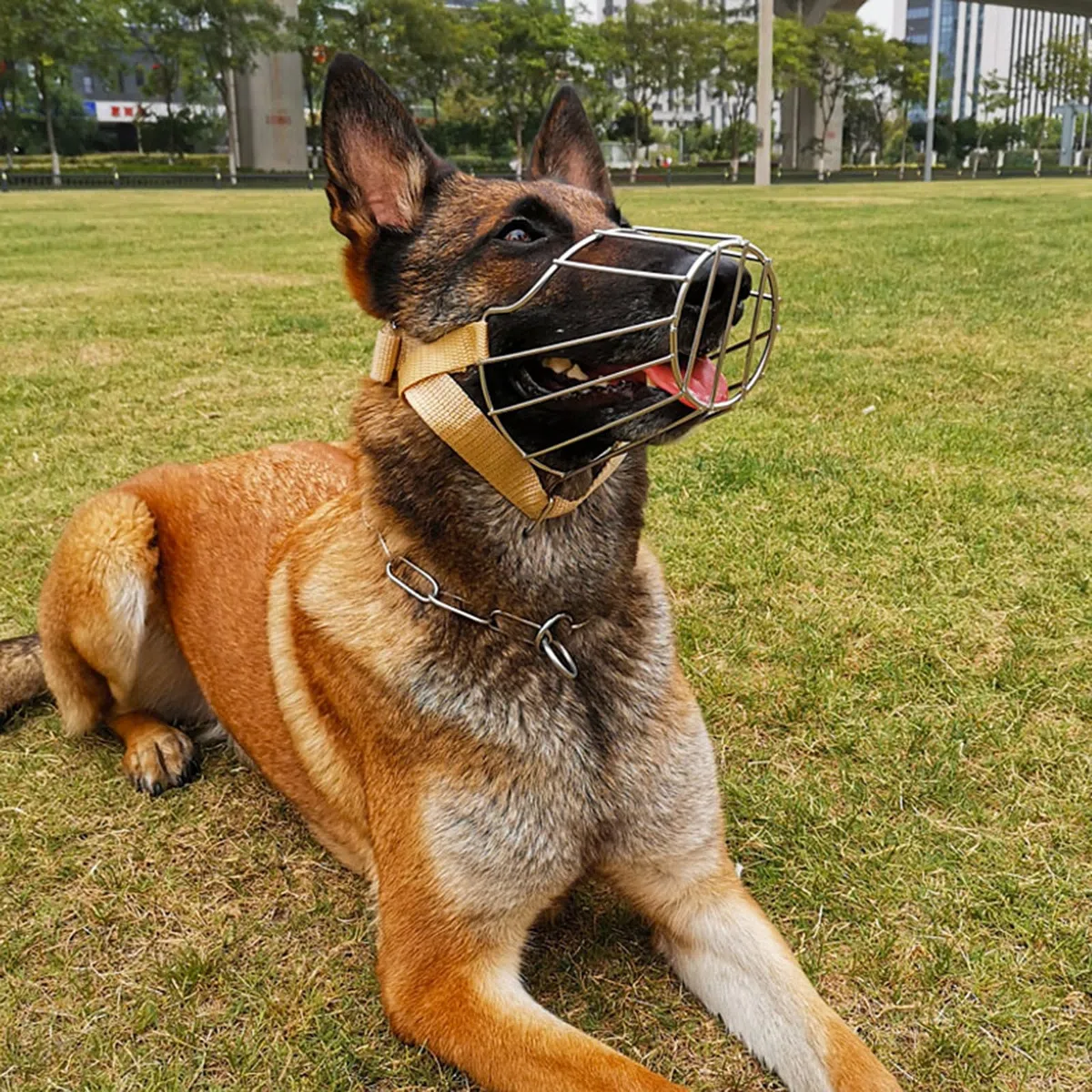 Bozal para Perros, Bozal for Perros antimordiscos, bozal de Cesta Alambre, for, Transpirable, Ajustable, bozales Suave(Style 1,L)