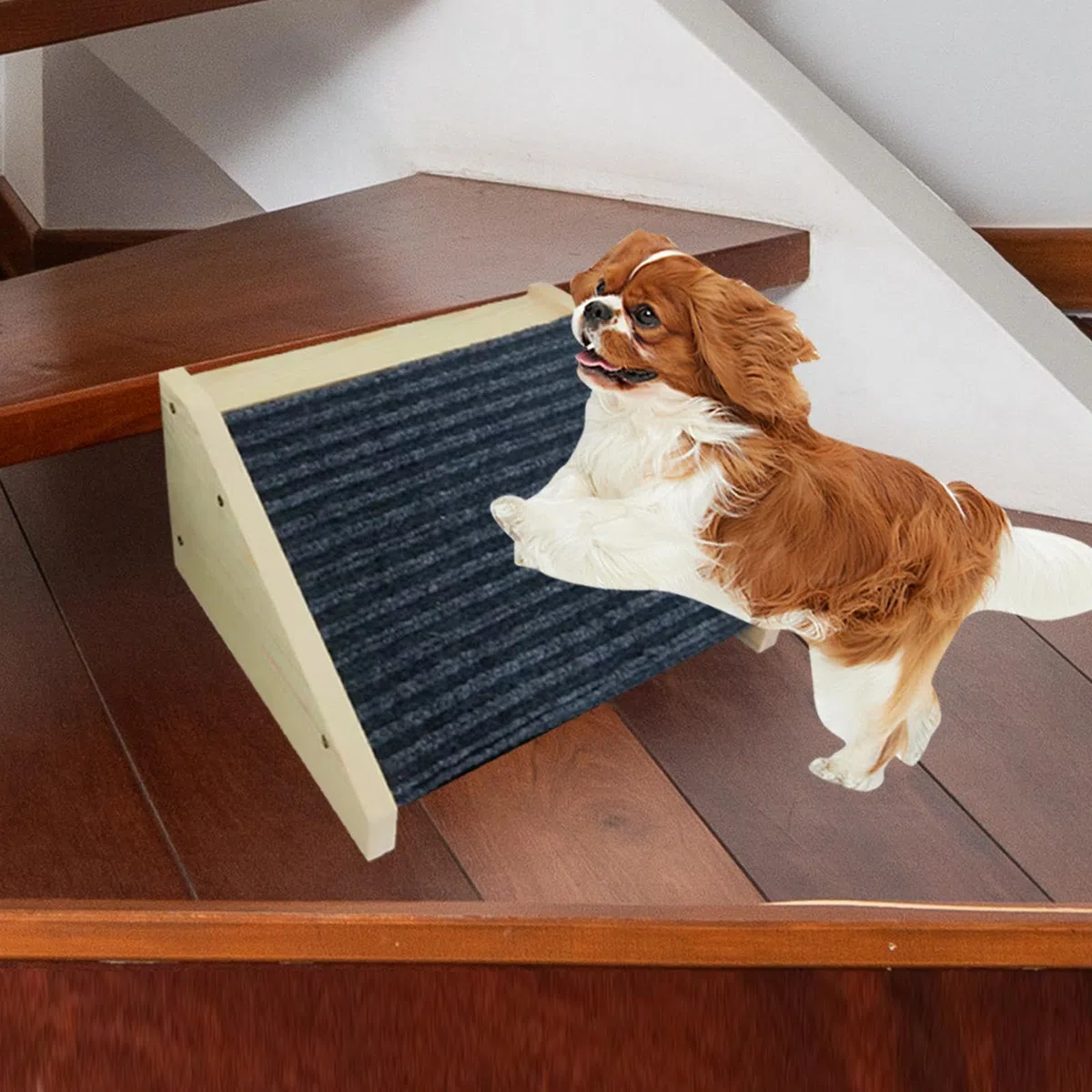 Rampa Antideslizante para Perros, Escalera para Gatos, Escalera Inclinada de Madera para Perros, para Sofá, Sillón O Camión.