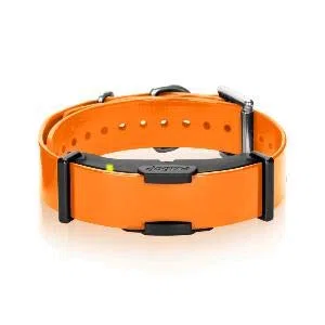 Dogtra - Collar extra de entrenamiento ARC800