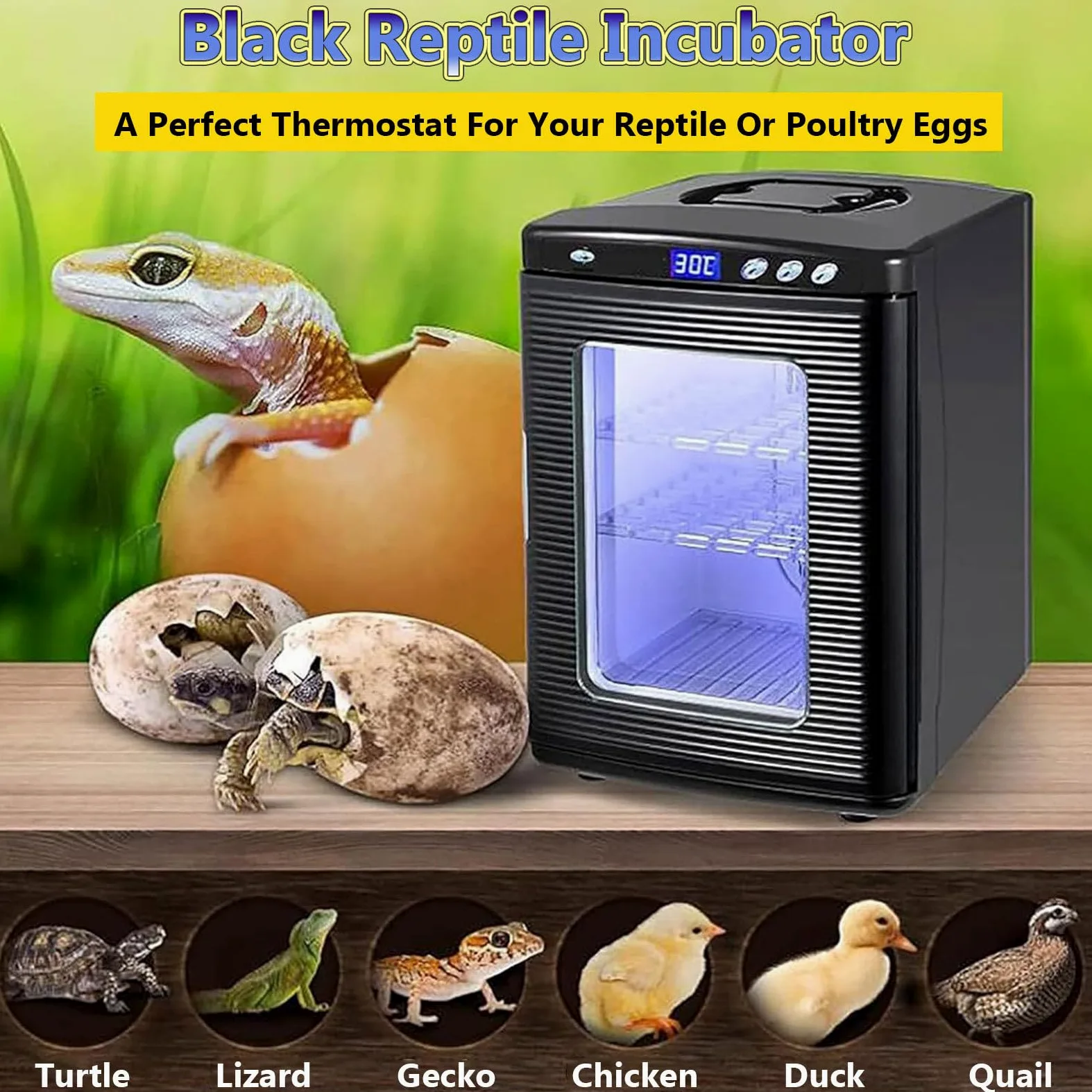 RayGenius Incubadora De Reptiles con Control De Temperatura Dual (5-60 °C), Termostato De RefrigeracióN Y CalefaccióN para Reptiles PequeñOs.