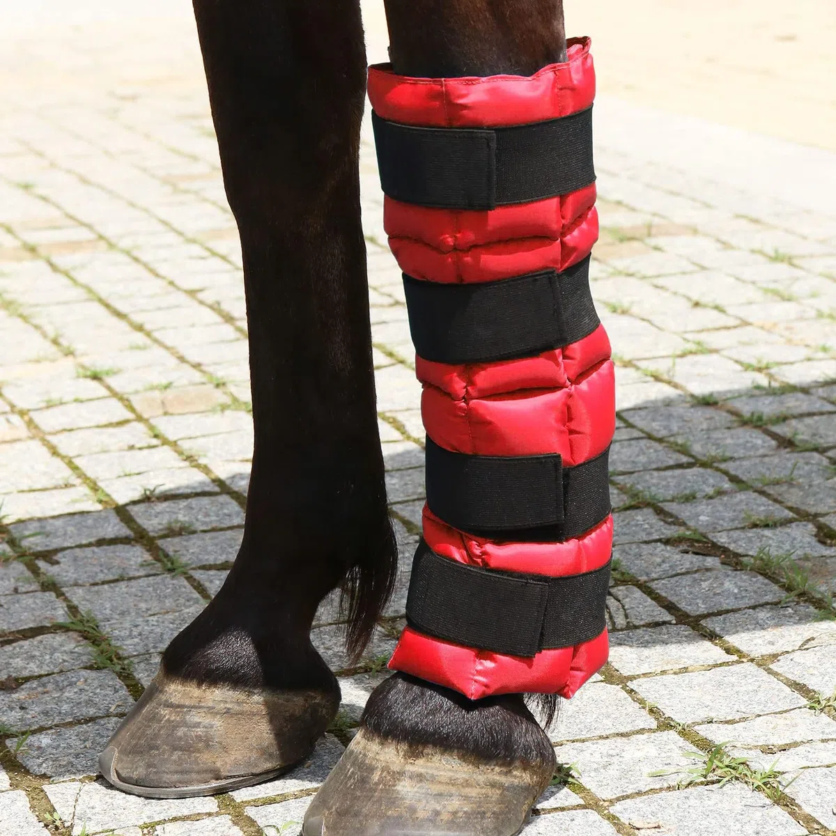 Harrison Howard Bota de hielo para caballo-rojo