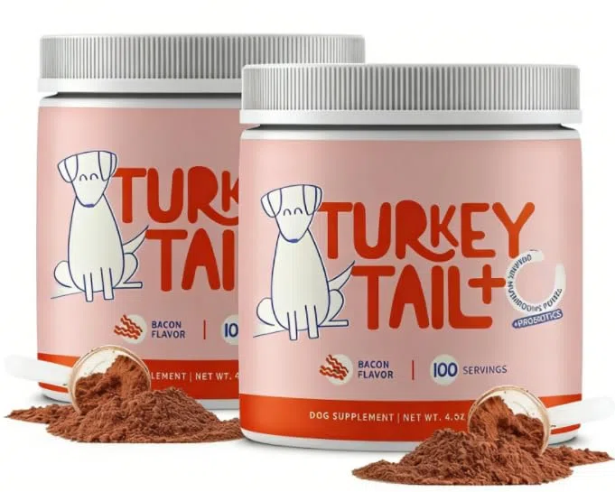 2 unidades, setas de cola de pavo para perros: energía e inmunidad, equilibra las vitaminas internas