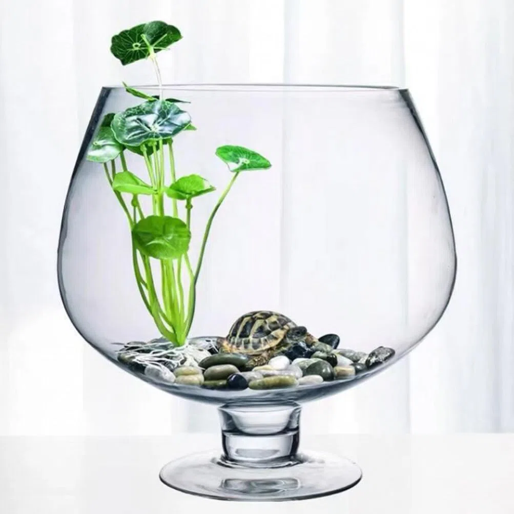 VANZACK Cuenco De Burbujas Transparente Pecera De Cristal Terrario Globo Florero Copa Terrario Contenedor Hidropónico Tanque Betta Cuenco De Lirio De Agua para Decoración