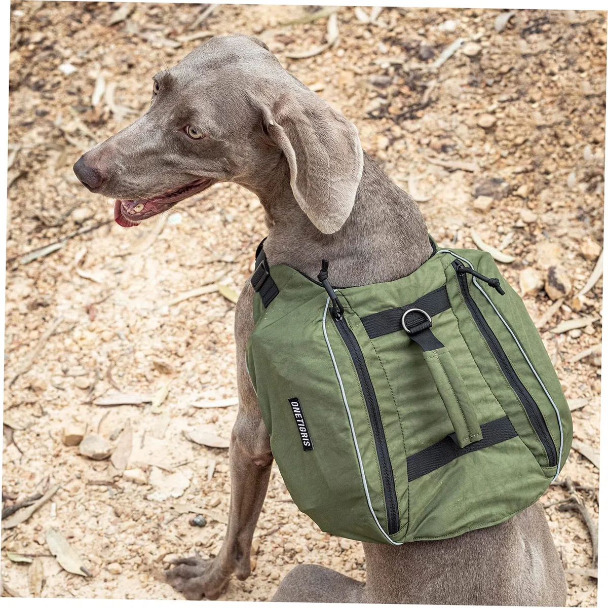 OneTigris CAMELUS Mochila de perro rasgado, camping, senderismo, para perros de tamaño M/L (M, Ranger verde)