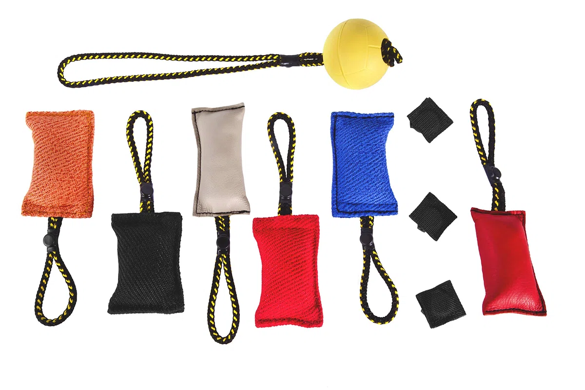 DINGO GEAR WWW.DINGOGEAR.COM 1977 Juego magnético para el Entrenamiento del Perro: imán Cubierto y Bola de Goma con Mango magnético