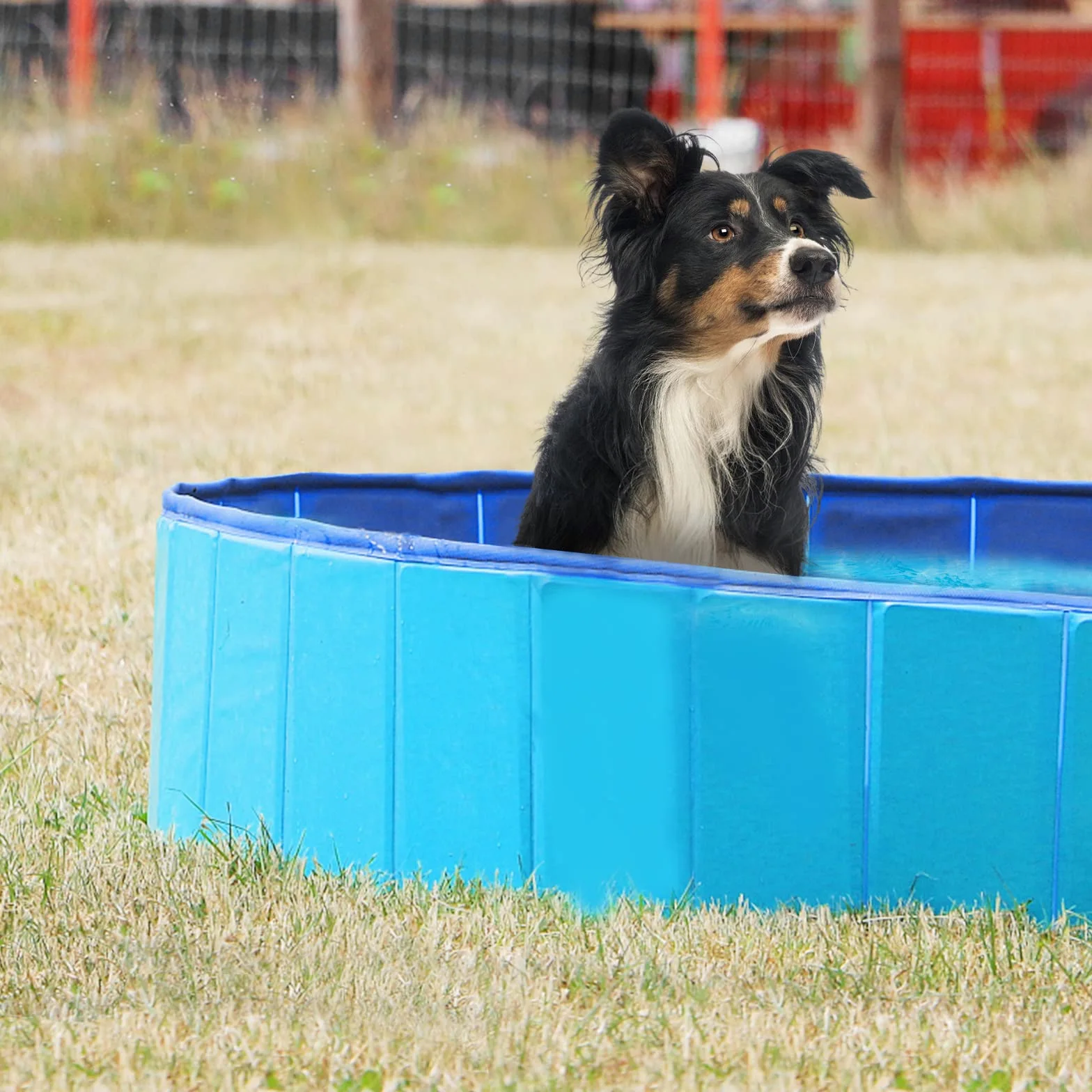 Jsdoin piscina grande plegable para perros, piscina portátil para mascotas, niños, piscina de baño, piscina de PVC antideslizante, piscina para mascotas, gatos y perros, piscina para niños, para