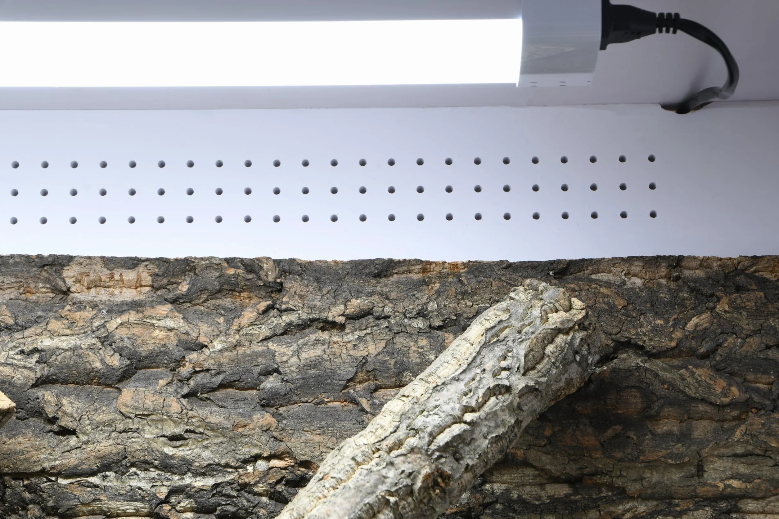 Lucky Reptile IsoTarrium Basic, Dimensiones de terrario (Ancho x Profundidad x Alto): 120 x 50 x 50 cm