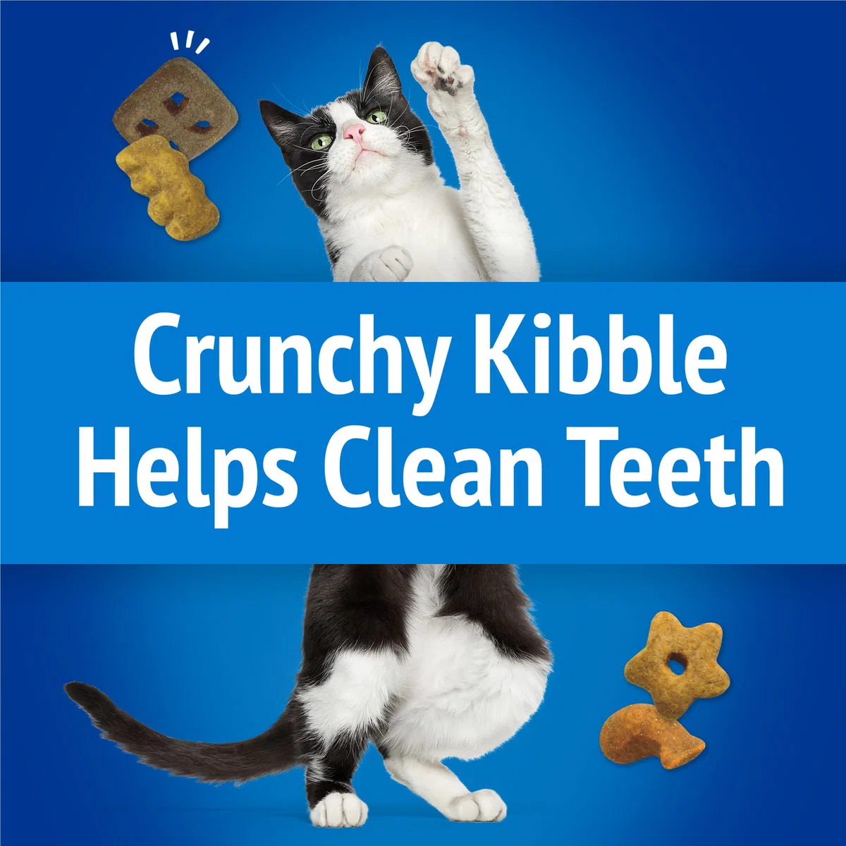Purina Friskies - Golosinas para gatos, mezcla de fiesta, crujiente junto a la playa, 30 onzas (paquete de 1)