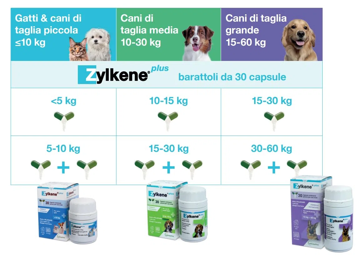 Zylkene Plus Pienso Complementario | Perros de más de 15 kg | Relajante para situaciones de malestar recurrente | 30 Cápsulas de 450 MG