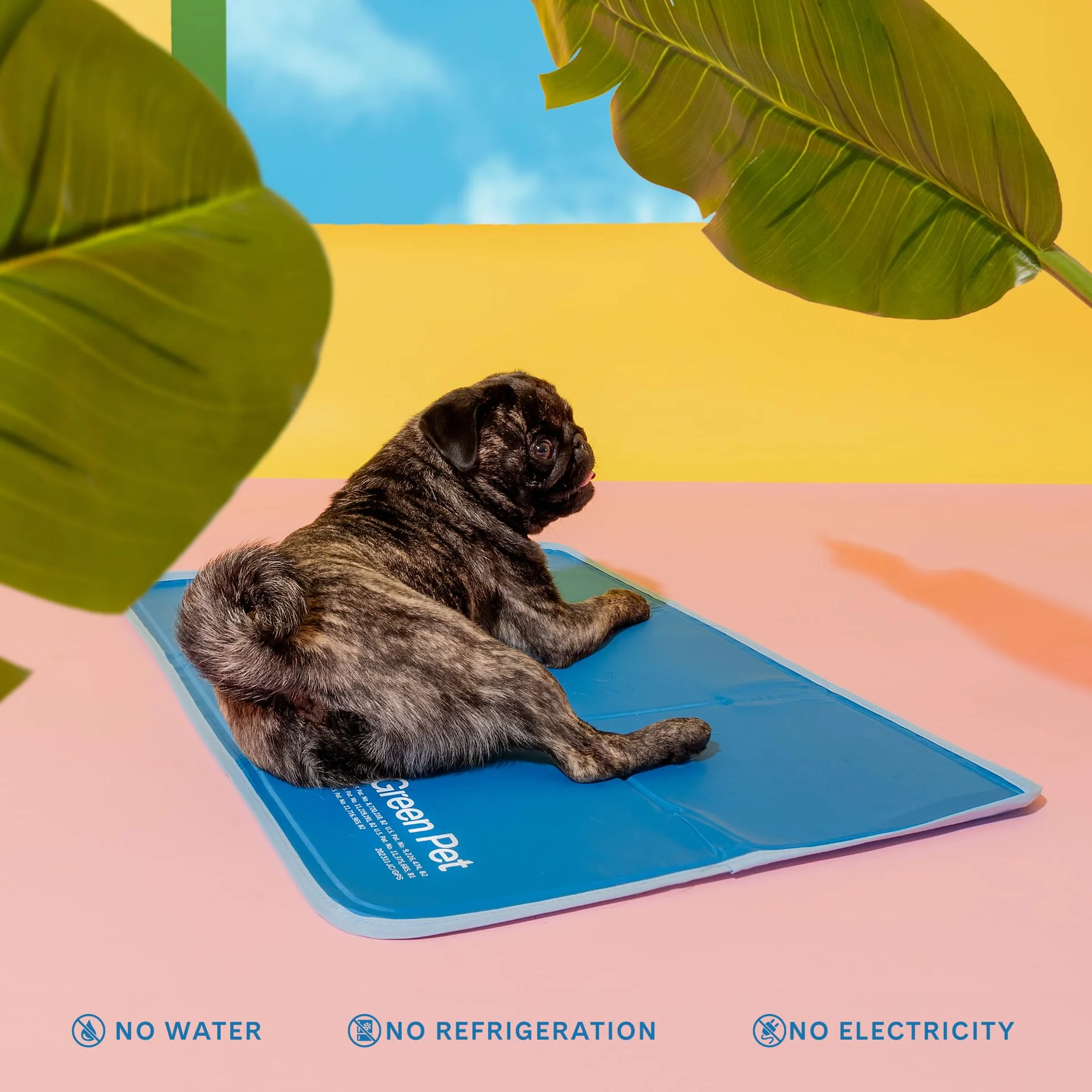 THEGREENPETSHOP - Tapete de refrigeración para Perros, pequeño, Activado por presión, para Perros y Gatos, tamaño para Mascotas pequeñas (9 a 20 Libras). Gel no tóxico, no Necesita Agua para Esta