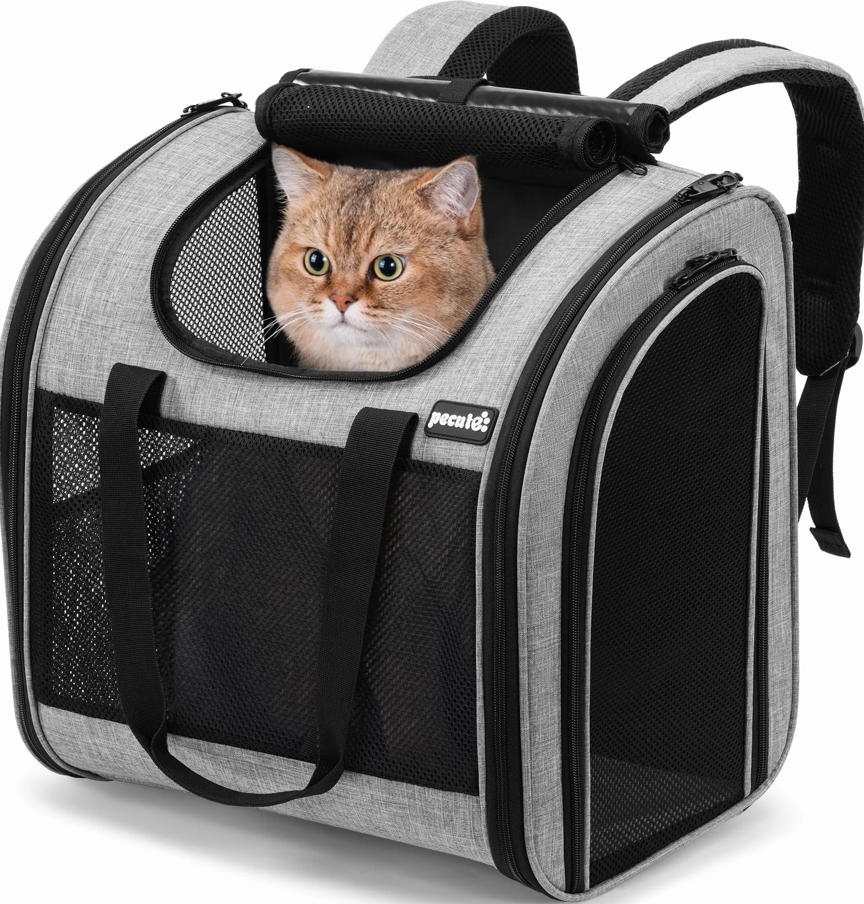 pecute Mochila transportadora para Gatos con diseño ventilado, Mochila Plegable para Mascotas para Gatos y Perros, Mochila para Perros con Correa de Seguridad