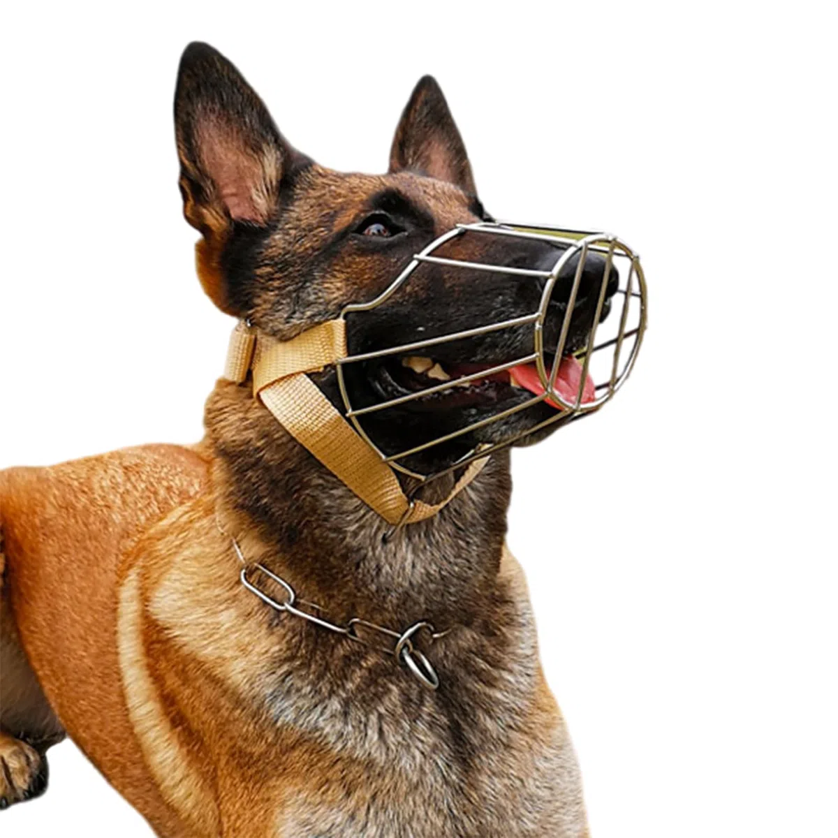 Bozal para Perros, Bozal for Perros antimordiscos, bozal de Cesta Alambre, for, Transpirable, Ajustable, bozales Suave(Style 1,L)