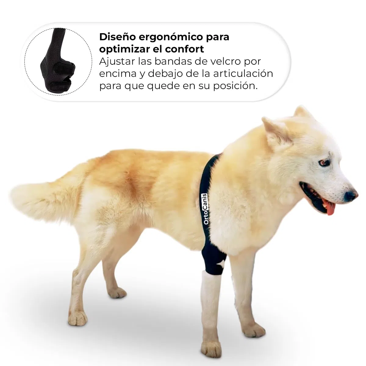 Ortocanis - Protector de Codo para Perro - Codera para Pierna Derecha - Artritis Crónica, Displasia y Lesiones Cutáneas - Ayuda a Reducir Dolor e Inflamación - Talla: L 20,6-25 cm