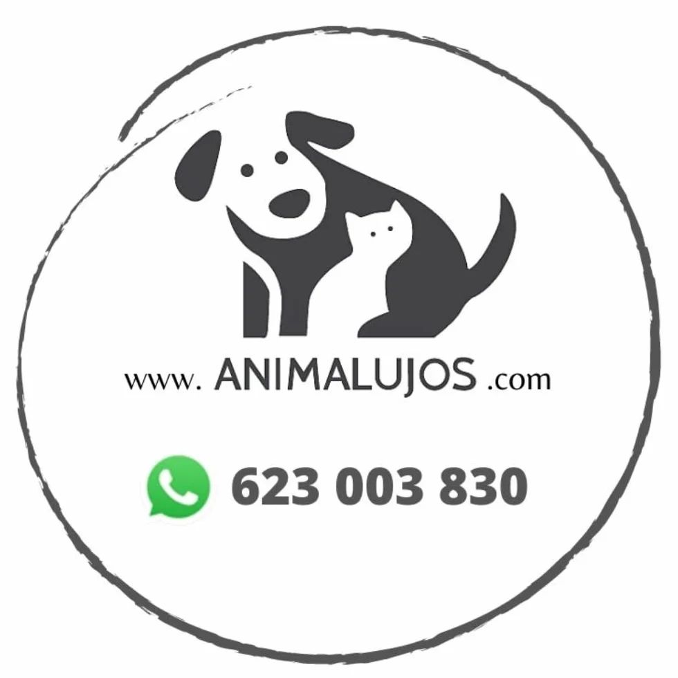 ANIMALUJOS - Comida para Gatos Wild Prairie 4,5 kg | 100% Natural y Sin Cereales | Pienso Premium Alta Proteína | Alimentación Saludable para Gatos Adultos