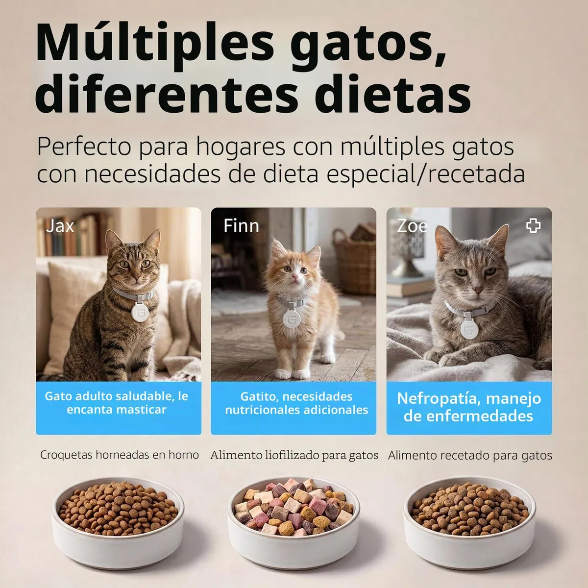 HoneyGuaridan RFID Comedero Automático para Gato, Comidas Activadas Mediante RFID, 5G WiFi Dispensador de Comida Gatos, Ideal para Hogares con Varias Gatos y Diferentes Regímenes Alimenticios