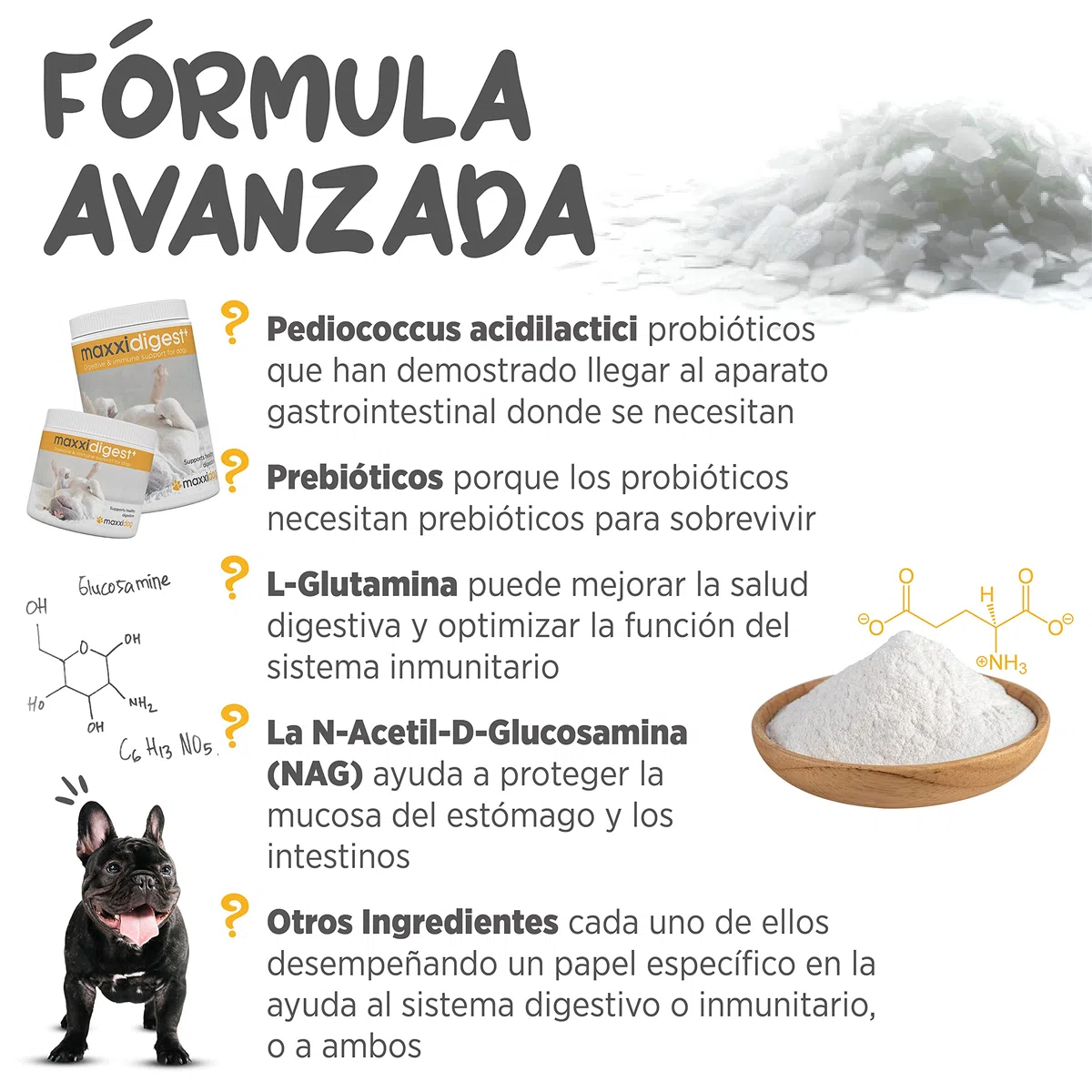 maxxipaws maxxidigest+ Prebióticos y Probióticos para Perros - Soporte Digestivo e Inmunológico - Suplemento en Polvo, 375g