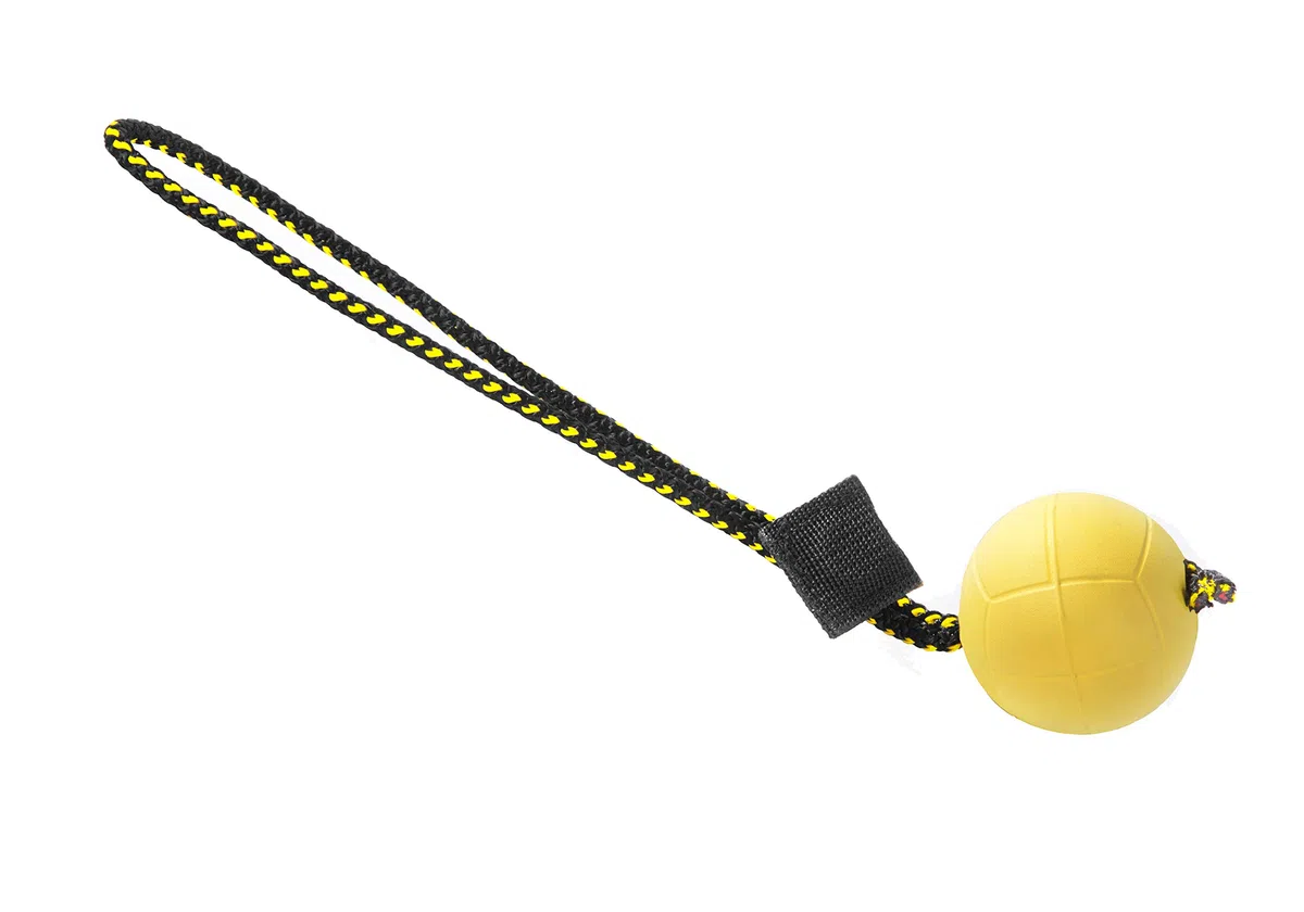 DINGO GEAR WWW.DINGOGEAR.COM 1977 Juego magnético para el Entrenamiento del Perro: imán Cubierto y Bola de Goma con Mango magnético