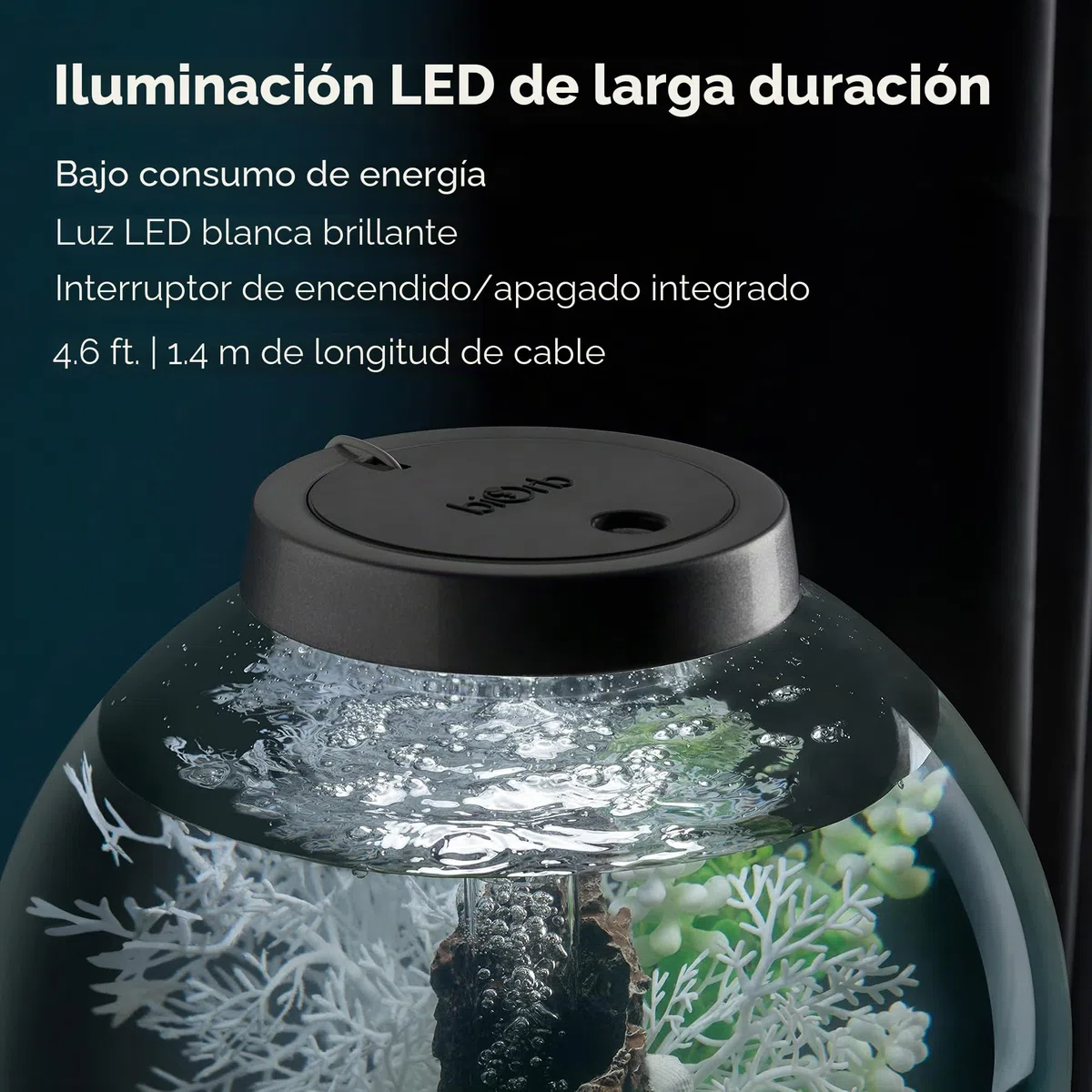biOrb 72005 CLASSIC 30 LED negro - acuario decorativo completo con sistema de filtración, iluminación LED y grava cerámica de vidrio acrílico resistente
