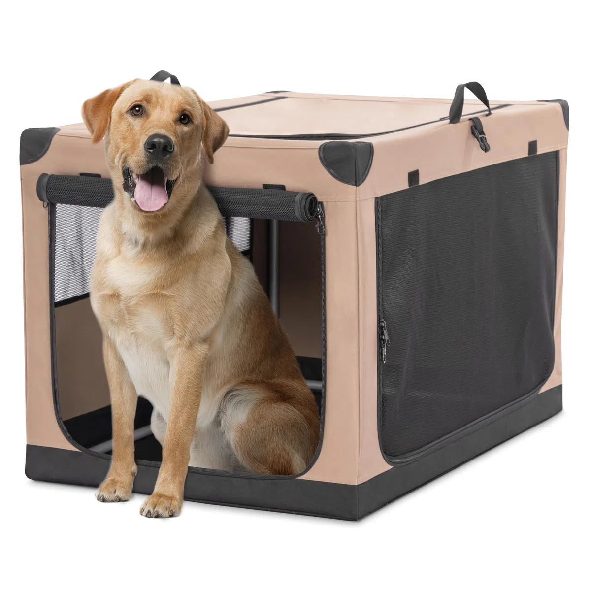 Petsfit Transportín para Perros, Plegable Bolsa transportín para Perros Transportín con Armazón de Acero Tubular Seguro para Perros Grandes medianos Pequeños
