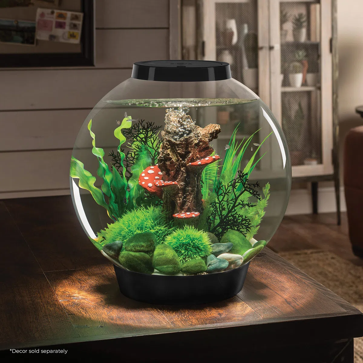 biOrb 72005 CLASSIC 30 LED negro - acuario decorativo completo con sistema de filtración, iluminación LED y grava cerámica de vidrio acrílico resistente