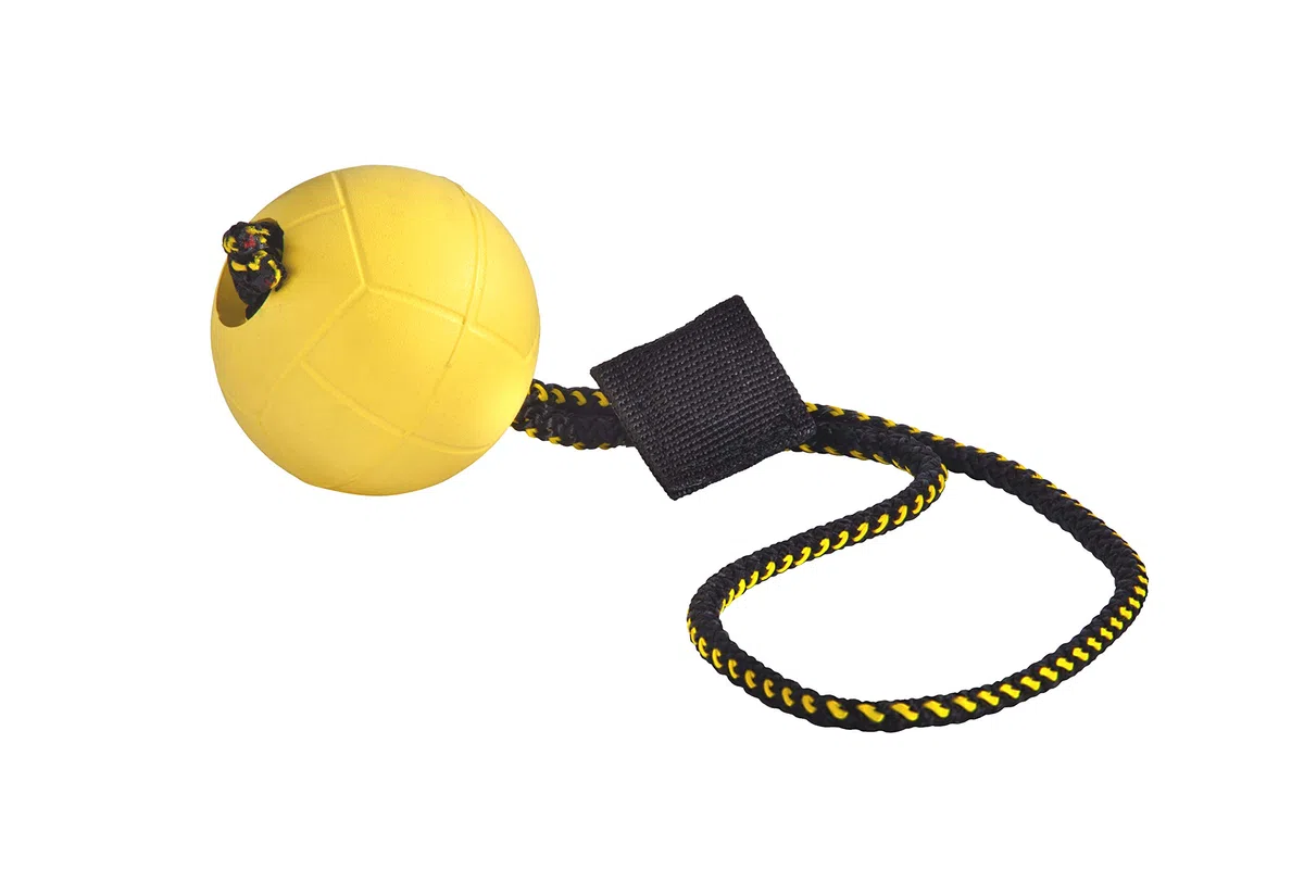 DINGO GEAR WWW.DINGOGEAR.COM 1977 Juego magnético para el Entrenamiento del Perro: imán Cubierto y Bola de Goma con Mango magnético